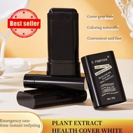 Disposable Hair Dye Quickly Temporary Hair Dye Stick Hair White Covering H7o2