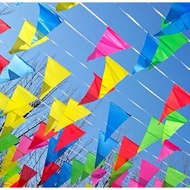 Fiesta Colorful Flag Banner