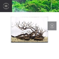 Biotop Aquarium Light 3W / 5W / 7W/10W - On/Off 3 Color Modes - KAOKUI KK F01 F02 F03 F04 F05 (LA)