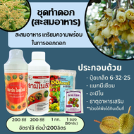 ชุดทำดอก สะสมอาหาร ทุเรียน สร้างความสมบูรณ์ เตรียมความพร้อม ในการออกดอก (ปุ๋ยเกล็ด6-32-25 แมกนีเซียม