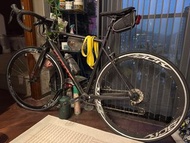 Giant 單車 SCR