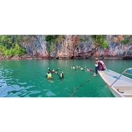 BEST MANGROVE TOUR @LANGKAWI