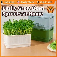 Lynxhop Seedling Tray Sprouting Container, Soilless Hydroponic Bean Sprout Maker, Yellow/Green Mung 