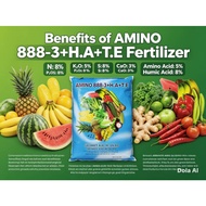 Baja Kopi Amino 8888-3+HA+TE (Repack 500g/1kg) | Organic Fertilizer Amino