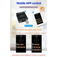 Xinyi Audio Amplifier Bluetooth 5.0 Class D 2X100W - Xy-C100L