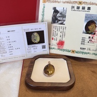 Amber天然多明尼加琥珀吊墜連證書-徐安《獅子》
