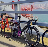 電變 Giant捷安特 全碳公路車road bike 有國際UC I認證
