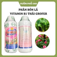 Concentrated foliar fertilizer Vitamin B1 Thailand White Grofer increases plant resistance 1L