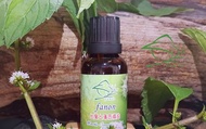【台灣土薄荷精油30ml】舒緩好伙伴