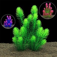 Sofishticated Aquarium - 造景裝飾植物 魚缸 水草擺設 熱帶魚 水族館 水族用品 假花草 水族箱