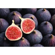 no COD🙏4pcs buah tin segar FREH FIGS sedap manis sihat semula jadi