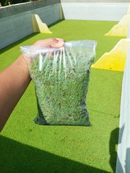 Azolla Segar 1 Kg | Bibit Azolla | Pakan Ayam Bebek Puyuh Ikan Lele Nila Gurame Kambing Sapi | Pakan