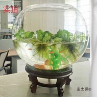 Akuarium ikan berbentuk sfera yang lebih besar dan tebal, akuarium ikan kaca ekologi bulat yang telu