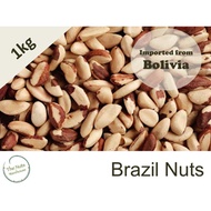 Premium Shelled Brazil Nuts 1kg