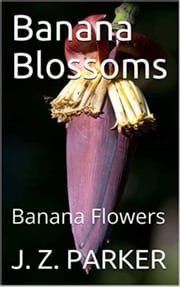 Banana Blossoms: Banana Flowers J. Z. Parker