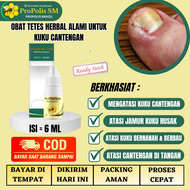 Obat Kuku Cantengan Obat Jamur Kuku Obat Kuku Bernanah Dan Berbau Obat Cantengan Di Tangan Propolis