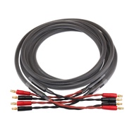Hifi Banana Jack to Banana Jack Speaker Cable Banana Pure Copper Speaker Wire With Banana Plugs Audi