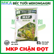 Phân bón chặn đọt tạo mầm hoa MKP và Lân cao 10-60-10 MKA gói 1kg