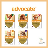 ADVOCATE CAT/DOG ANTI FLEA/ Seresto Flea Tick Pet Collar Anti Flea for Pets Cat Dogs