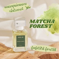 น้ำหอม MOLAR กลิ่น Matcha Forest 30 ml โมลาร์ กลิ่นชาเขียว มัทฉะ Green Tea Unisex Thai Perfume