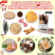 Christmas home decoration DIY handmade gifts wrapper aroma cinnamon Christmas Tree Pinecone Picea Pi
