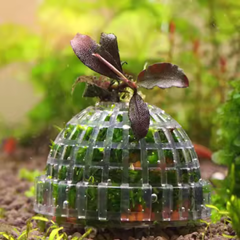 1pc Aquatic Pet Supplies Decorations Aquarium Moss Ball Live Plants Filter For Java Shrimps Fish Tan