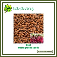 Beet Microgreens / Microgreen Seeds