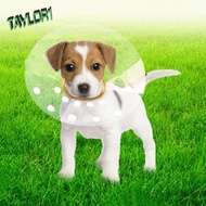 TAYLOR1 Cat Recovery Collar, Transparent Plastic Pet Protective Collar, Dog Elizabeth Cone Anti-lick