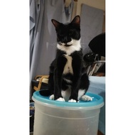 Bret T50 Piston Dtiver