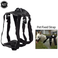 Pet Dog Harness Elastic Band Back Chest Strap Belt Mount For Gopro Hero 9 8 7 6 5 Sjcam Insta 360 Yi