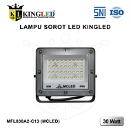 KINGLED 30 Watt LED Grey Spotlight 50 Watt/ 100 Watt Floodlight