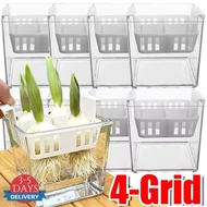 [3-5 DAYS DELIVERY]Tulip Grow Kit Clear Acrylic Square Basin Root Check Strong Stable 4Hole Basket B