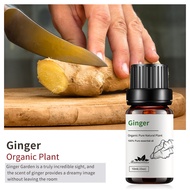 外贸单方精油香精香料香薰按摩精油檀香扩香10ml样品