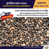 ลูกเดือย Jobs tears เกรดA นำเข้า อาหารนกแก้ว หนูแฮมสเตอร์ และสัตว์ฟันแทะ (แบ่งขาย 250G / 500G / 1KG)