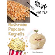Popcorn seed Biji jagung corn kernel caramel popcorn set爆米花玉米粒焦糖爆米花