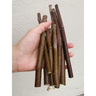 Fig Tree Cutting /1set 5pc/In stock 无花果枝条 新枝修剪