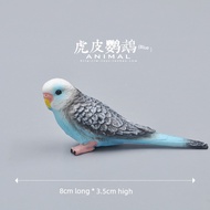 Animal model toy budgie (blue)