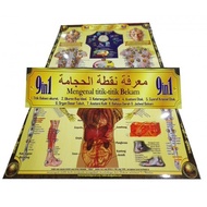 [NEW ITEM] POSTER TITIK BEKAM | SAIZ A2 | GAMBAR BERWARNA | READY STOCK & FAST DELIVERY
