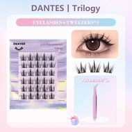【Free Tweezers】DANTES Glue-FreeEyelashes Extensions No Need ToApply Glue Cluster Lashes cosmetics