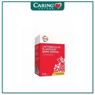 「Buy 3 get 1」GKB Lactobacillus Plantarum GKM3 200MG - Probiotic for Gut Health