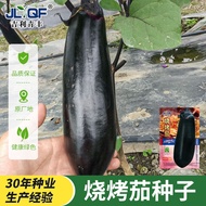 Barbecue Long Eggplant Seed Seed Seed Seed Seed Seed Black Purple Long Eggplant Extra Large Eggplant