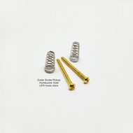 Guitar Screw Pickup Humbucker Gold