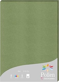 Clairefontaine 24270C – A Case of 25 Sheets – A4 Size (21 x 29.7 cm) – 210 g/m² – Sage Green Colour 