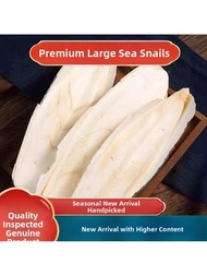 Top Quality Fresh Cuttlefish Bone 500g