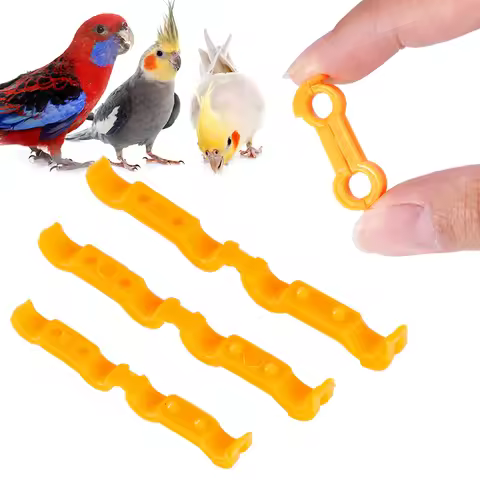 4/5/6mm Parrot Leg Corrector Nestling‌ Leg Splint Rutin Chicken Budgie Cockatiel Eight Character Cor