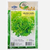 1000Biji Benih Salad Green Oak Royal / Lettuce Green Oak Royal /Salad Hijau Kerinting /Cap Chia Tai