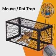 Mouse Rat Cage Trap Metal Trap