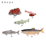 [Adepe] Life Cycle of Salmon Toys Teaching Materials Preschool Farm Animals Figurines