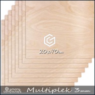 3 mm PLYWOOD 20x70 cm Grade A Plywood (4 pcs)