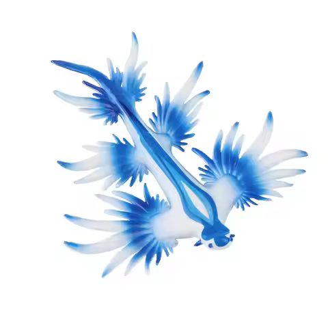 Realistic Sea Slug Animal Figures Model Animal Figures for Toddlers Boys
